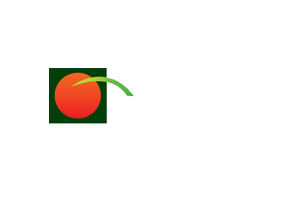 KAIRALI HOMES